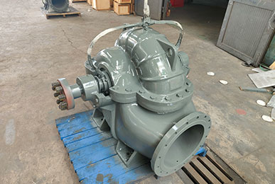 立式雙吸泵 立式雙吸泵